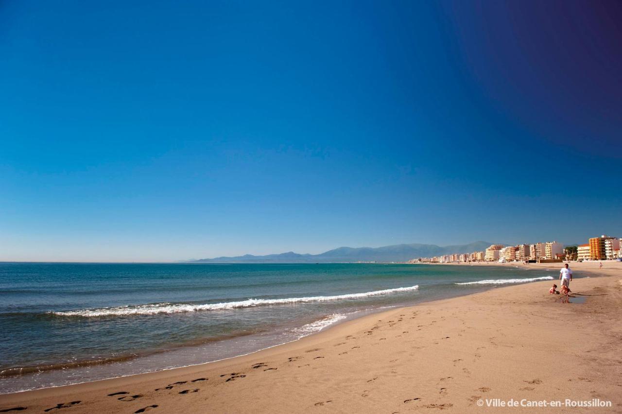 카네트 "Dream" Magnifique Vue Mer, Terrasse, Parking, Le Reve 아파트 외부 사진